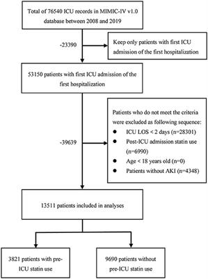 Association of Prior to Intensive Care Unit Statin Use With Outcomes on Patients With Acute Kidney Injury